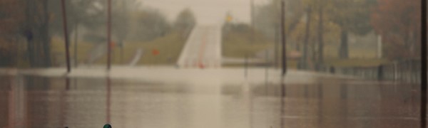 Flood-cdt newsletter image